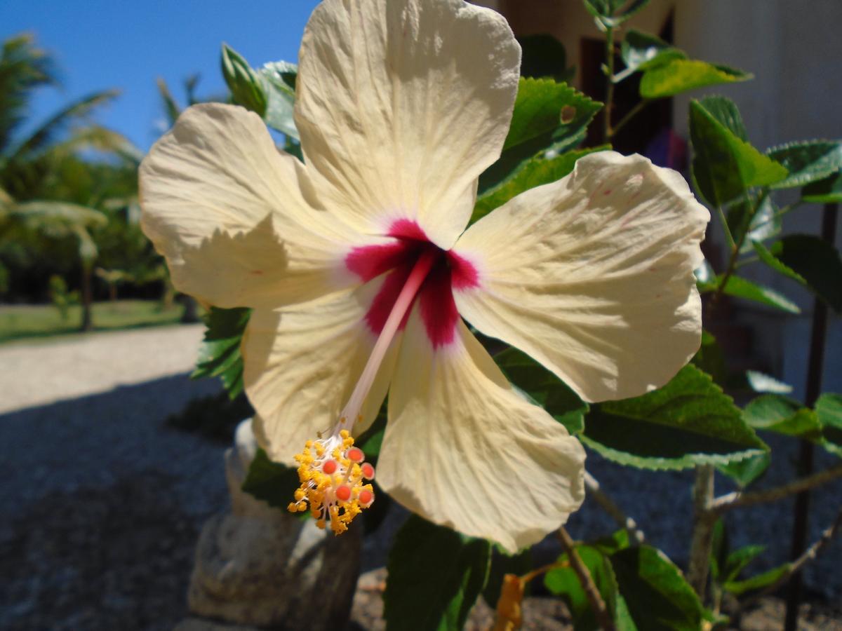 Serenity Sands Corozal Zewnętrze zdjęcie